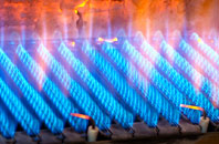 Oran gas fired boilers